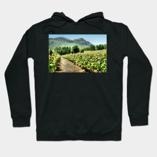 Vineyards Hoodie